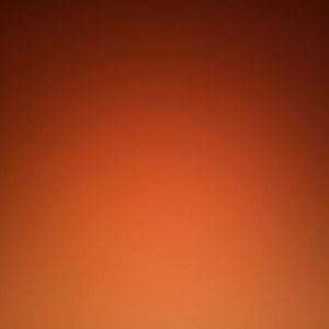 Meet your Posher, Bernadette